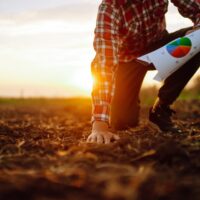 Hand,Of,Expert,Farmer,Collect,Soil,And,Checking,Soil,Health