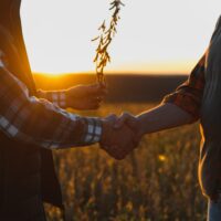 Two,Farmers,Shaking,Hands,,Closing,A,Deal,In,A,Soybean Two,Farmers,Shaking,Hands,,Closing,A,Deal,In,A,Soybean